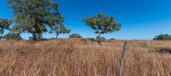 Grundstück in Alcacer do Sal, Portugal 136m², Nr. 209012 20