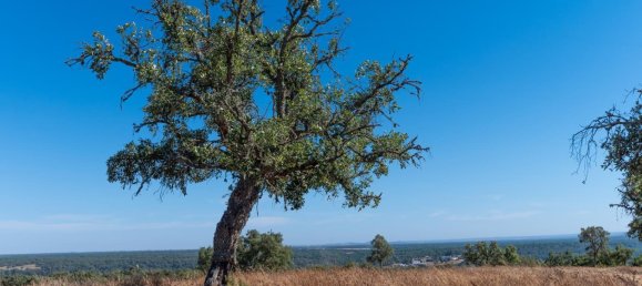 Grundstück in Alcacer do Sal, Portugal 136m², Nr. 209012 25
