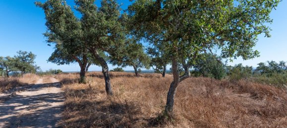 Grundstück in Alcacer do Sal, Portugal 136m², Nr. 209012 23