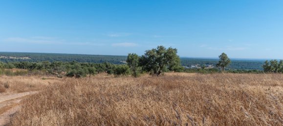 Grundstück in Alcacer do Sal, Portugal 136m², Nr. 209012 27