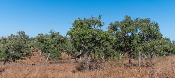 Grundstück in Alcacer do Sal, Portugal 136m², Nr. 209012 24