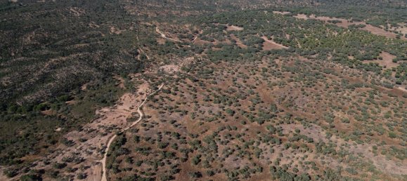 Grundstück in Alcacer do Sal, Portugal 136m², Nr. 209012 14