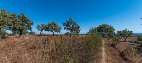 Grundstück in Alcacer do Sal, Portugal 136m², Nr. 209012 19
