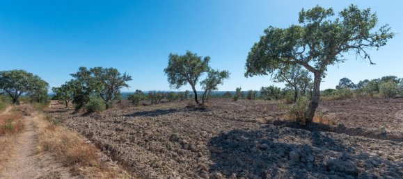 Grundstück in Alcacer do Sal, Portugal 136m², Nr. 209012 18