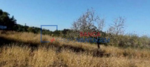 1 غرف نوم منزل في Tavira, Portugal رقم 70839 7