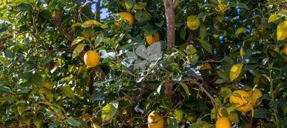 3 chambres Villa à Vila Real de Santo Antonio, Portugal No. 116353 44