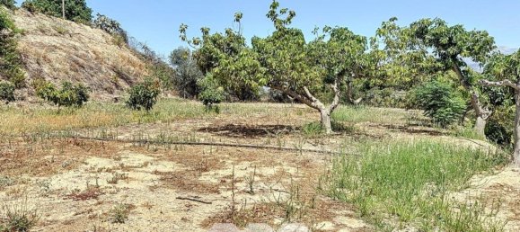 Дом с 10 спальнями в Велес-Малага, Испания № 55053 4