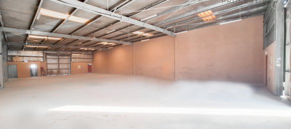 مستودع في القصيص, UAE 371.6متر مربع رقم 54816 5