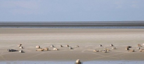 3غرفة منزل في Unstrut-Hainich-Kreis, Germany رقم 61762 24