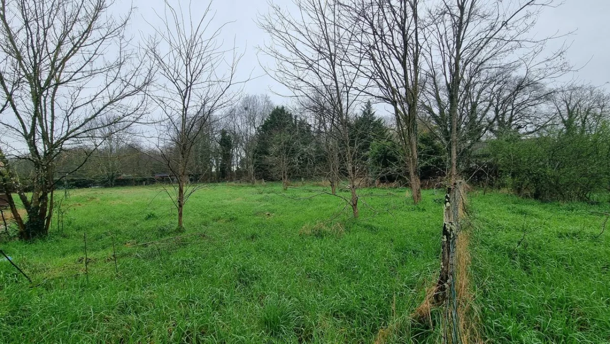 1150m² Land in Preignac, France No. 98636