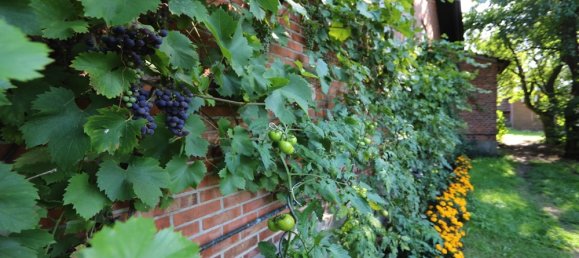 Кафе / ресторан 10627м² в Ольденбург, Германия № 140676 7