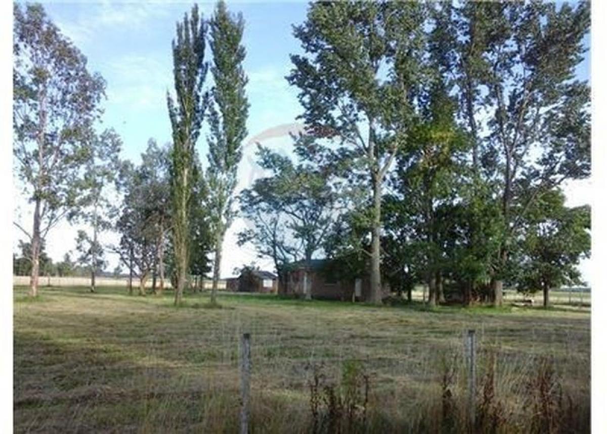 2 bedrooms House in Mercedes, Argentina No. 16337