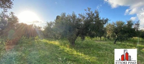 Земельный участок 8200м² в Ruffano, Италия № 103231 2