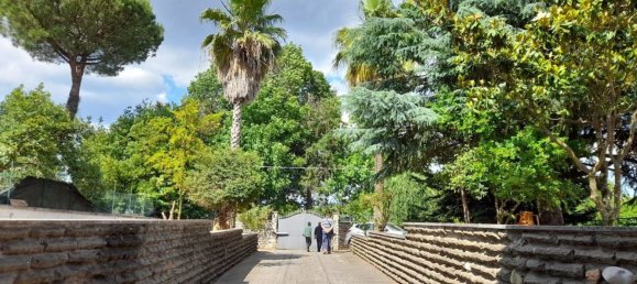 3 غرف نوم فيلا في Artena, Italy رقم 144464 37