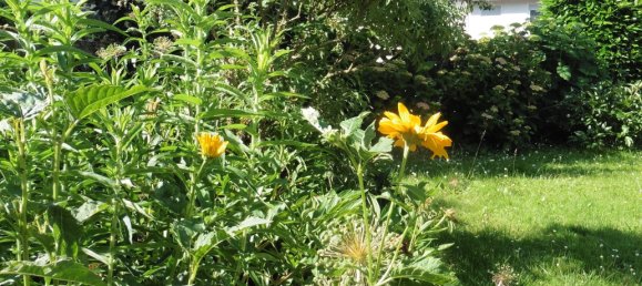 Adosado de 7 habitaciónes en Rems-Murr-Kreis, Germany No. 2370 7