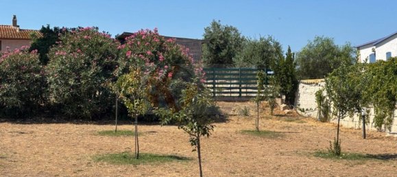 Villa T8 em Muros, Italy N.º 319414 39