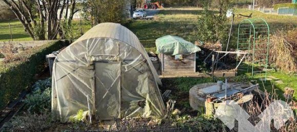 3 chambres Maison à Rohrbach an der Lafnitz, Austria No. 87684 28