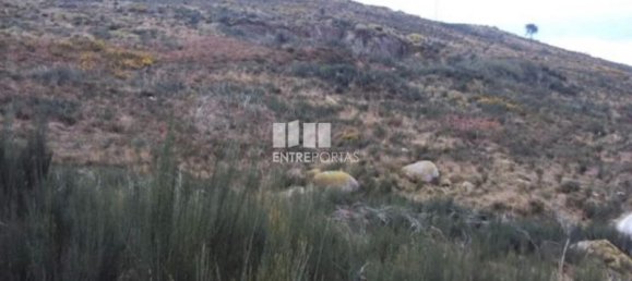 48000m² Land in Marco de Canaveses, Portugal No. 56221 3