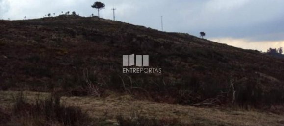48000m² Land in Marco de Canaveses, Portugal No. 56221 2