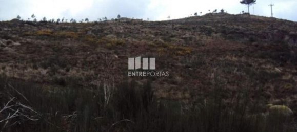 48000m² Land in Marco de Canaveses, Portugal No. 56221 4