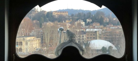 9 rooms Apartment in Turin, Italy No. 55440 11