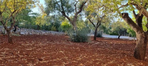 3 chambres Villa à Ceglie Messapica, Italy No. 346493 8