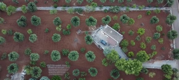 3 chambres Villa à Ceglie Messapica, Italy No. 346493 29