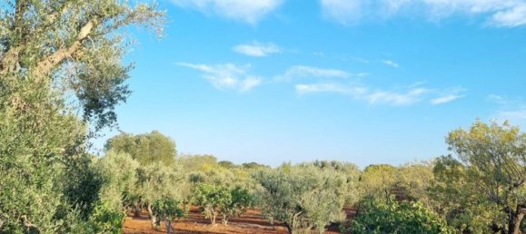 3 chambres Villa à Ceglie Messapica, Italy No. 346493 4