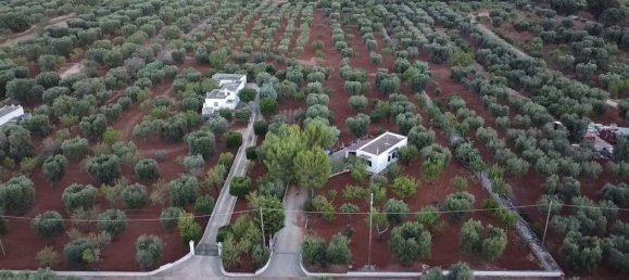 3 chambres Villa à Ceglie Messapica, Italy No. 346493 11