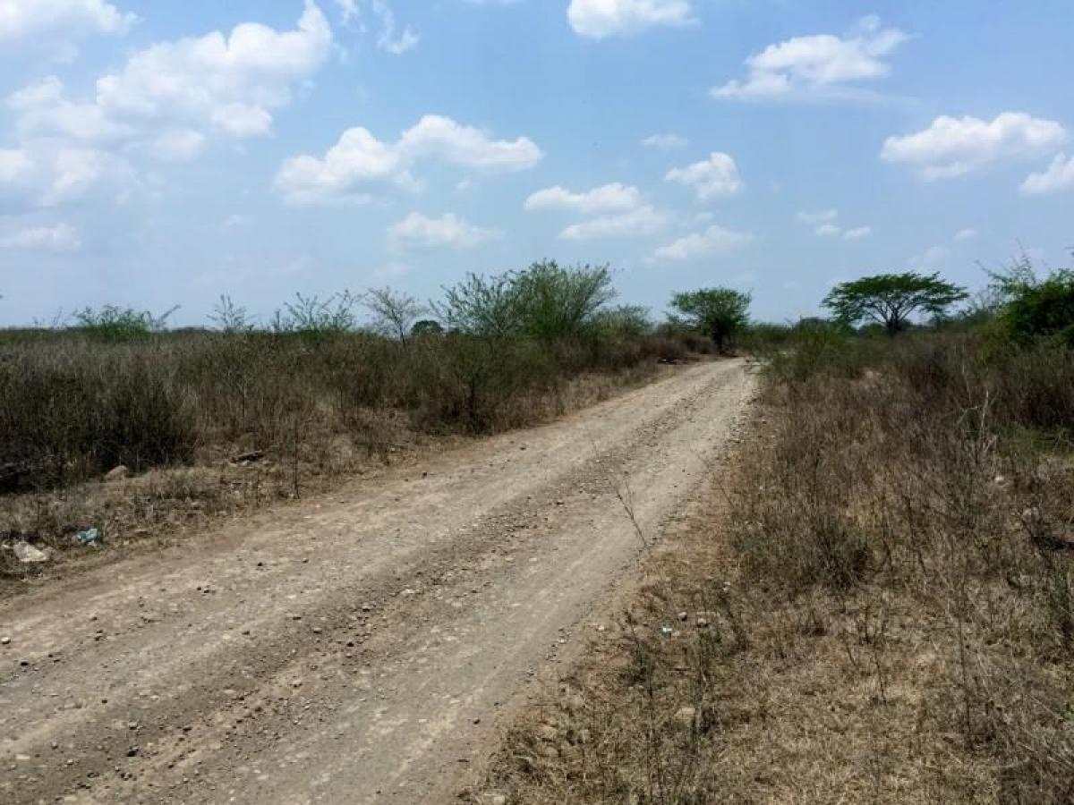 Estúdio em Tijuana, Mexico N.º 163415
