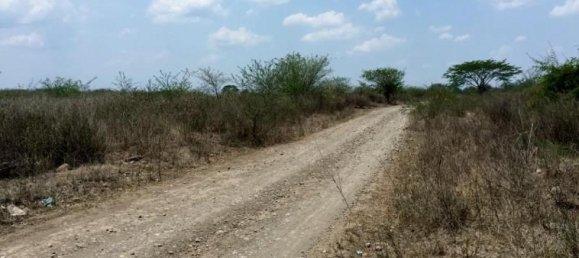 Estúdio em Tijuana, Mexico N.º 163415 2