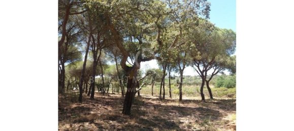 Grundstück in Almancil, Portugal 17948m², Nr. 145357 20