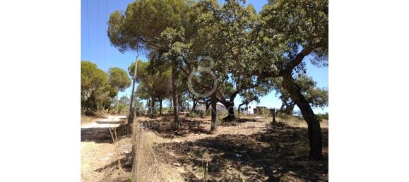 Grundstück in Almancil, Portugal 17948m², Nr. 145357 24