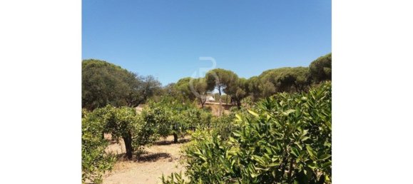Grundstück in Almancil, Portugal 17948m², Nr. 145357 17