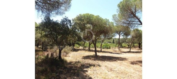 Grundstück in Almancil, Portugal 17948m², Nr. 145357 30