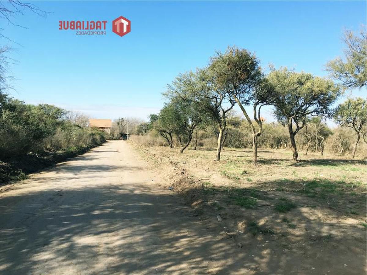 Terreno em San Luis, Argentina N.º 32501