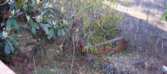 5 bedrooms House in Darque, Portugal No. 74987 6