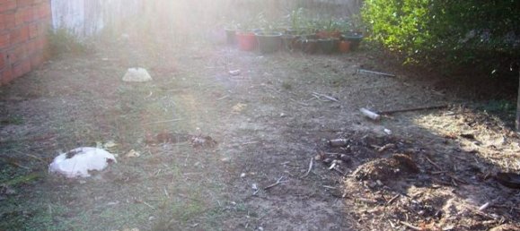 5 bedrooms House in Darque, Portugal No. 74987 4