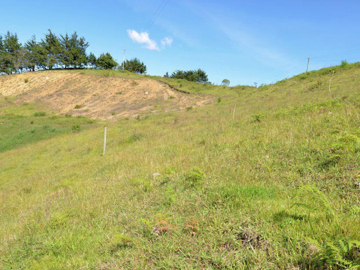  Land in Antioquia, Colombia No. 308