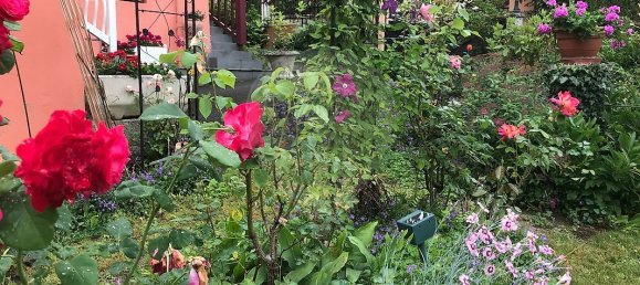 5 bedrooms House in Saulnes, France No. 50484 29