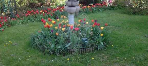 5 bedrooms House in Saulnes, France No. 50484 24