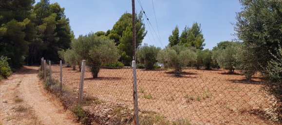 Hotel in Chalkidiki, Greece 5078m², Nr. 4728 5