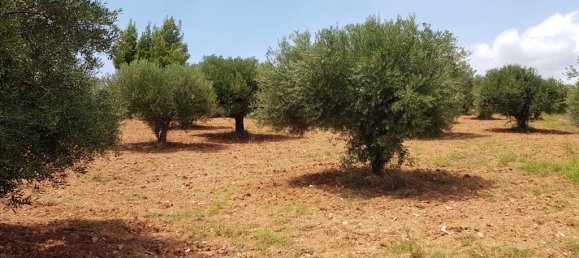 Hotel in Chalkidiki, Greece 5078m², Nr. 4728 3