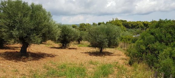 Hotel in Chalkidiki, Greece 5078m², Nr. 4728 2