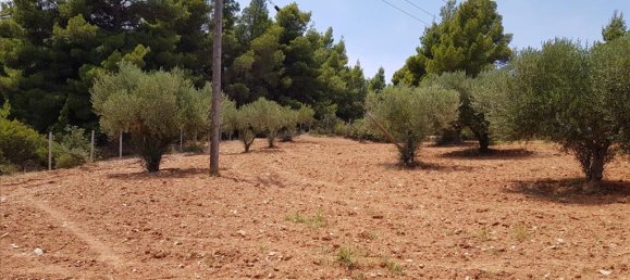 Hotel in Chalkidiki, Greece 5078m², Nr. 4728 4