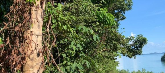 Imóvel comercial em Khok Kloi, Thailand 3236 m² N.º 8232 7