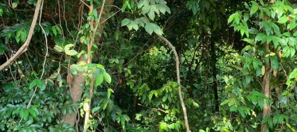 Imóvel comercial em Khok Kloi, Thailand 3236 m² N.º 8232 8