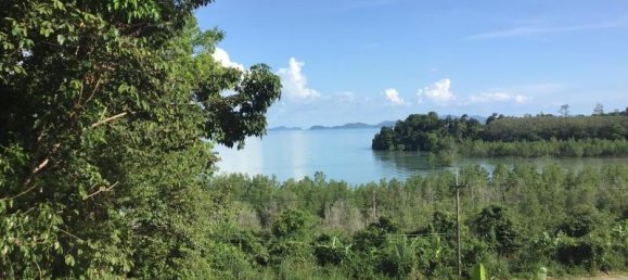 Imóvel comercial em Khok Kloi, Thailand 3236 m² N.º 8232 6