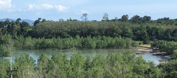 Imóvel comercial em Khok Kloi, Thailand 3236 m² N.º 8232 3