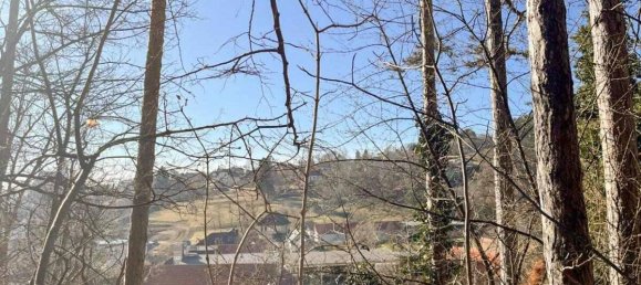 Terreno en Wurflach, Austria No. 130652 2